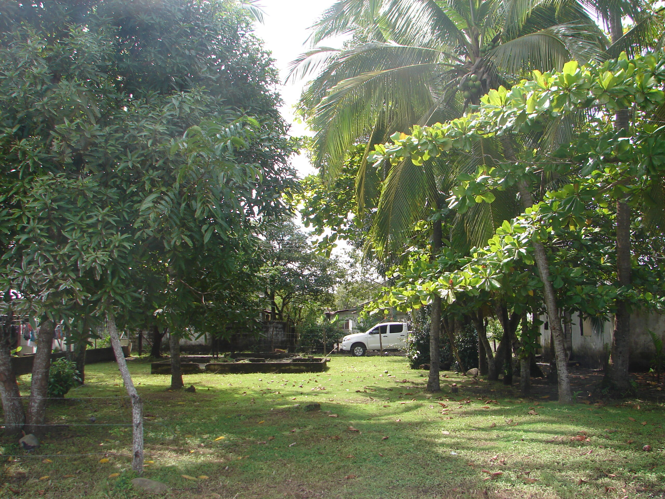 DSC01829
