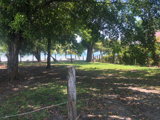 image-9