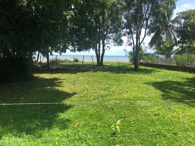 image1-1
