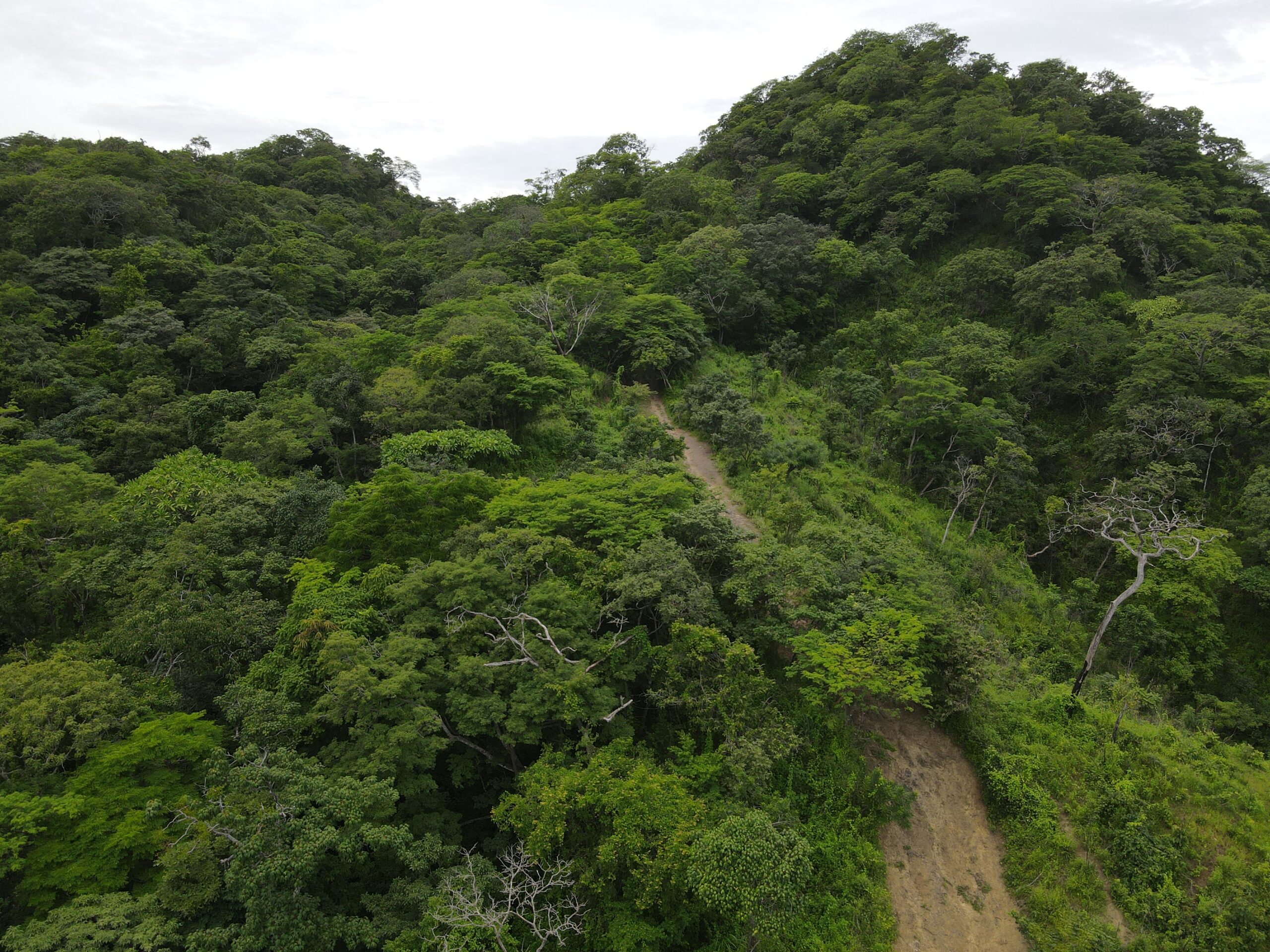 DJI_0360