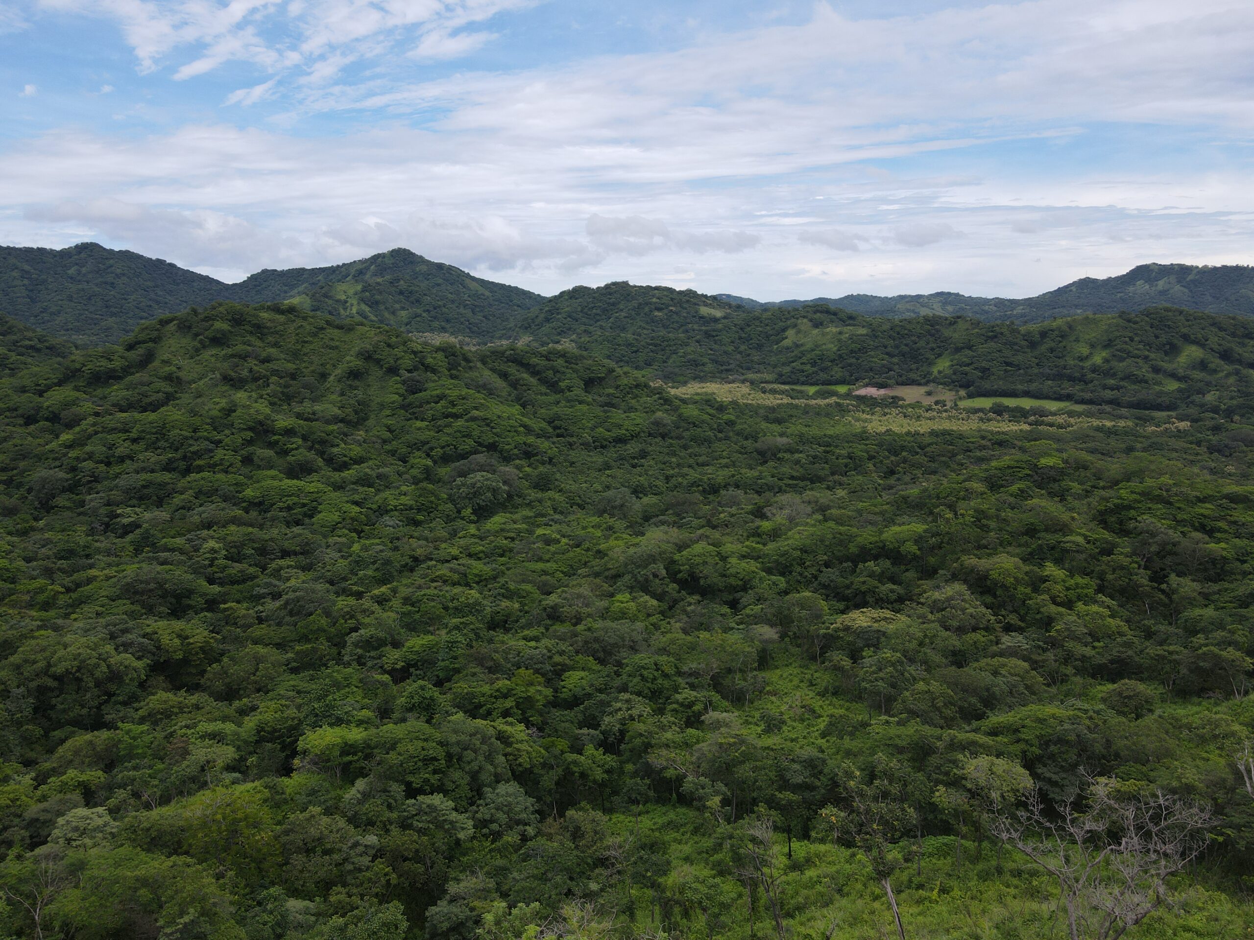 DJI_0361
