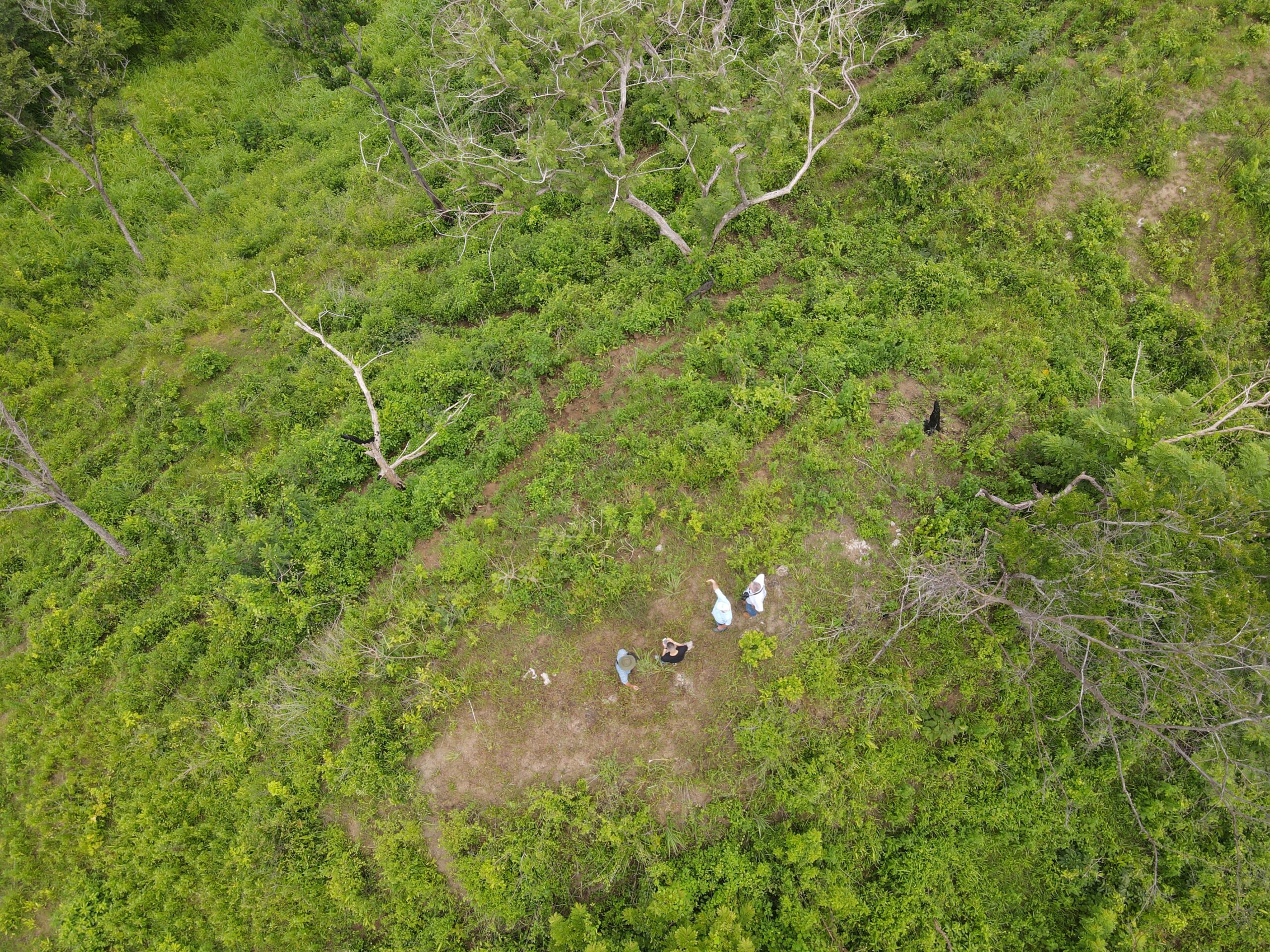 DJI_0362