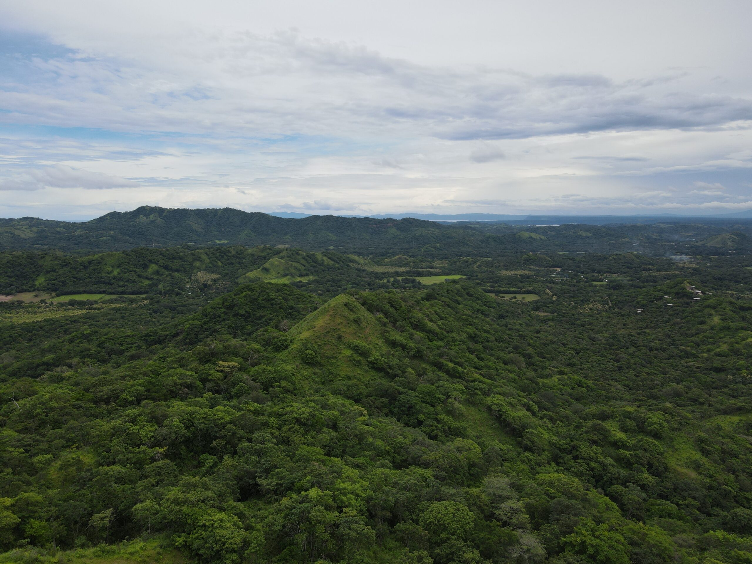 DJI_0365