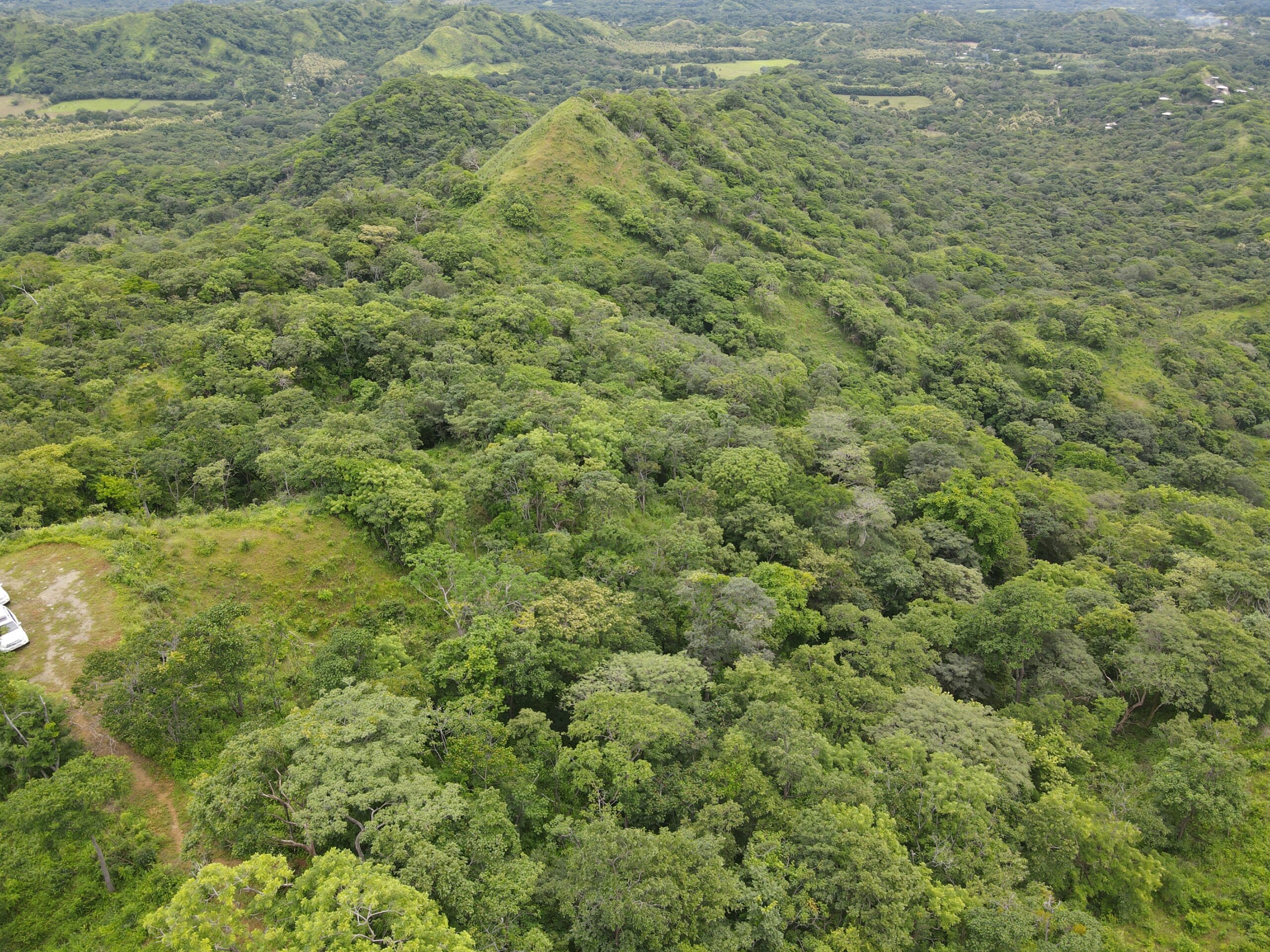 DJI_0366
