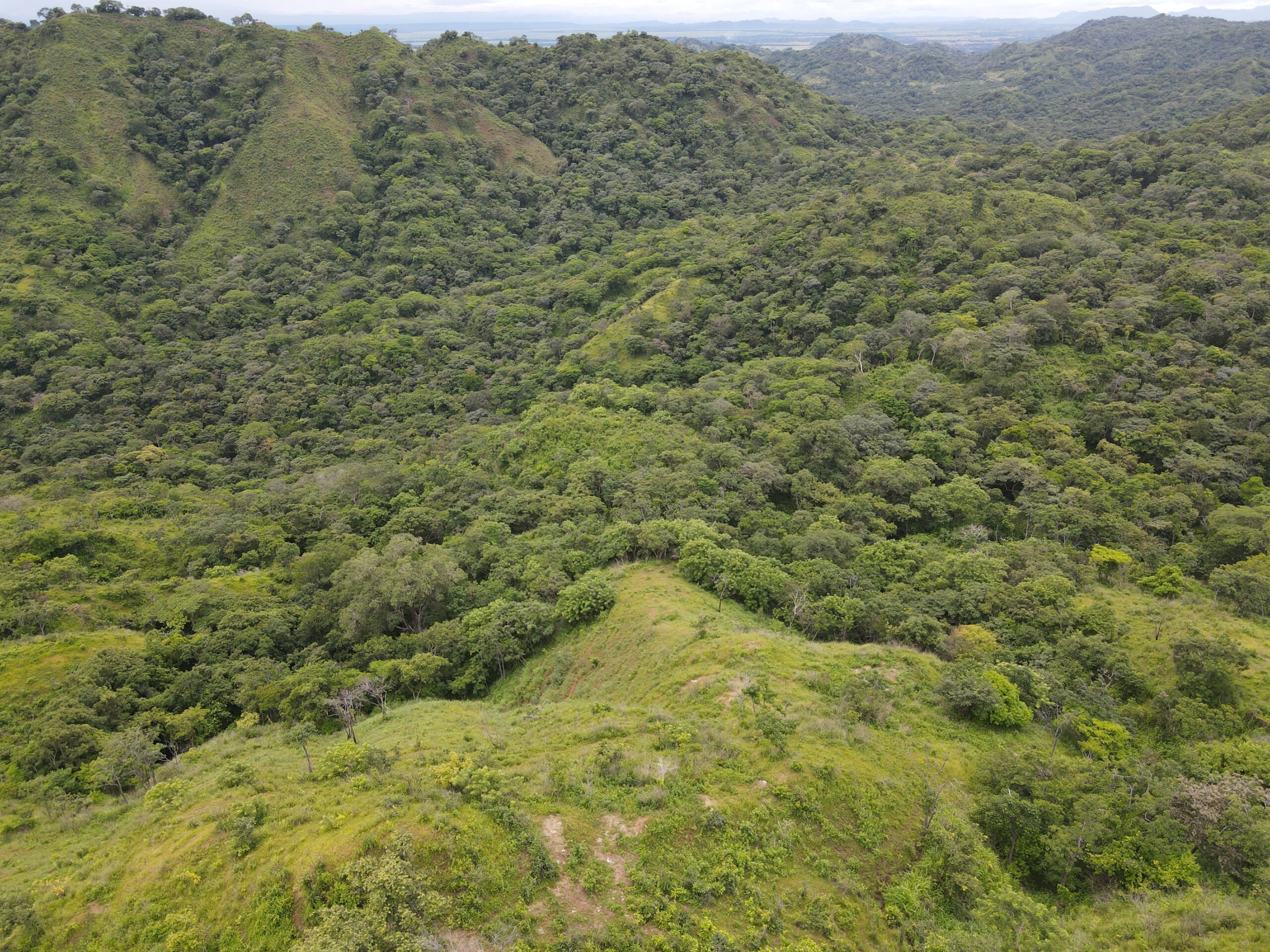 DJI_0367