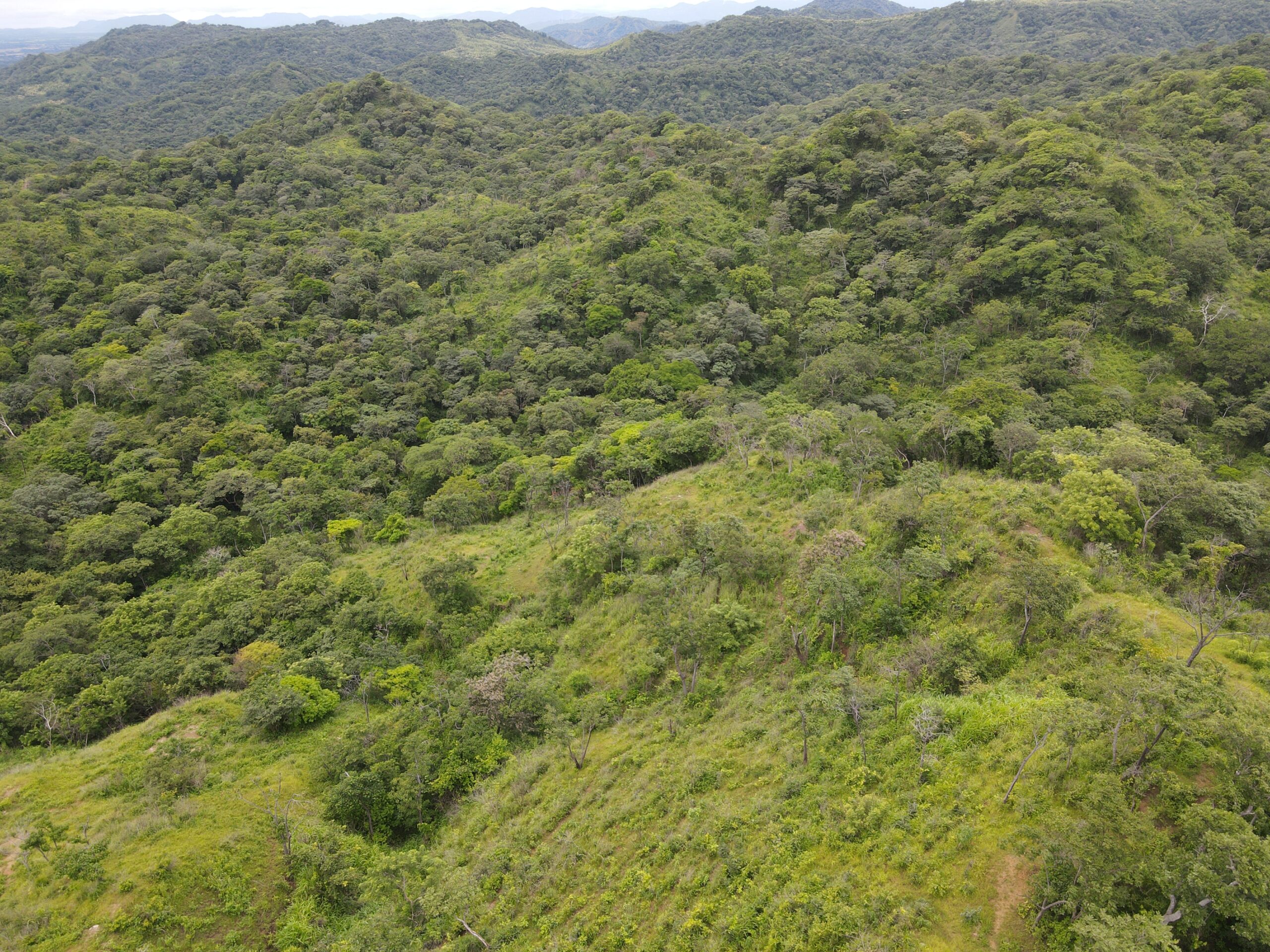 DJI_0368
