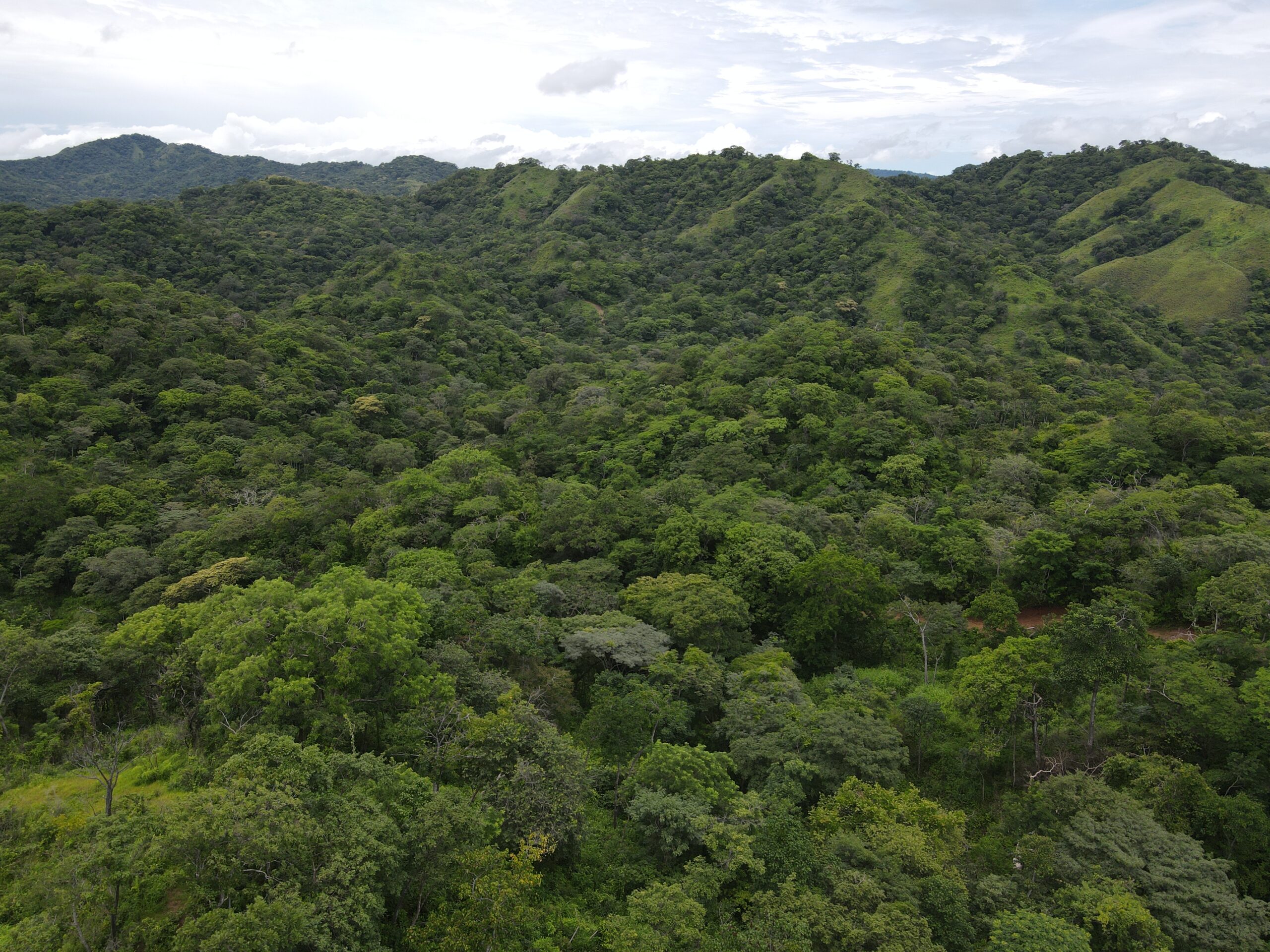 DJI_0369