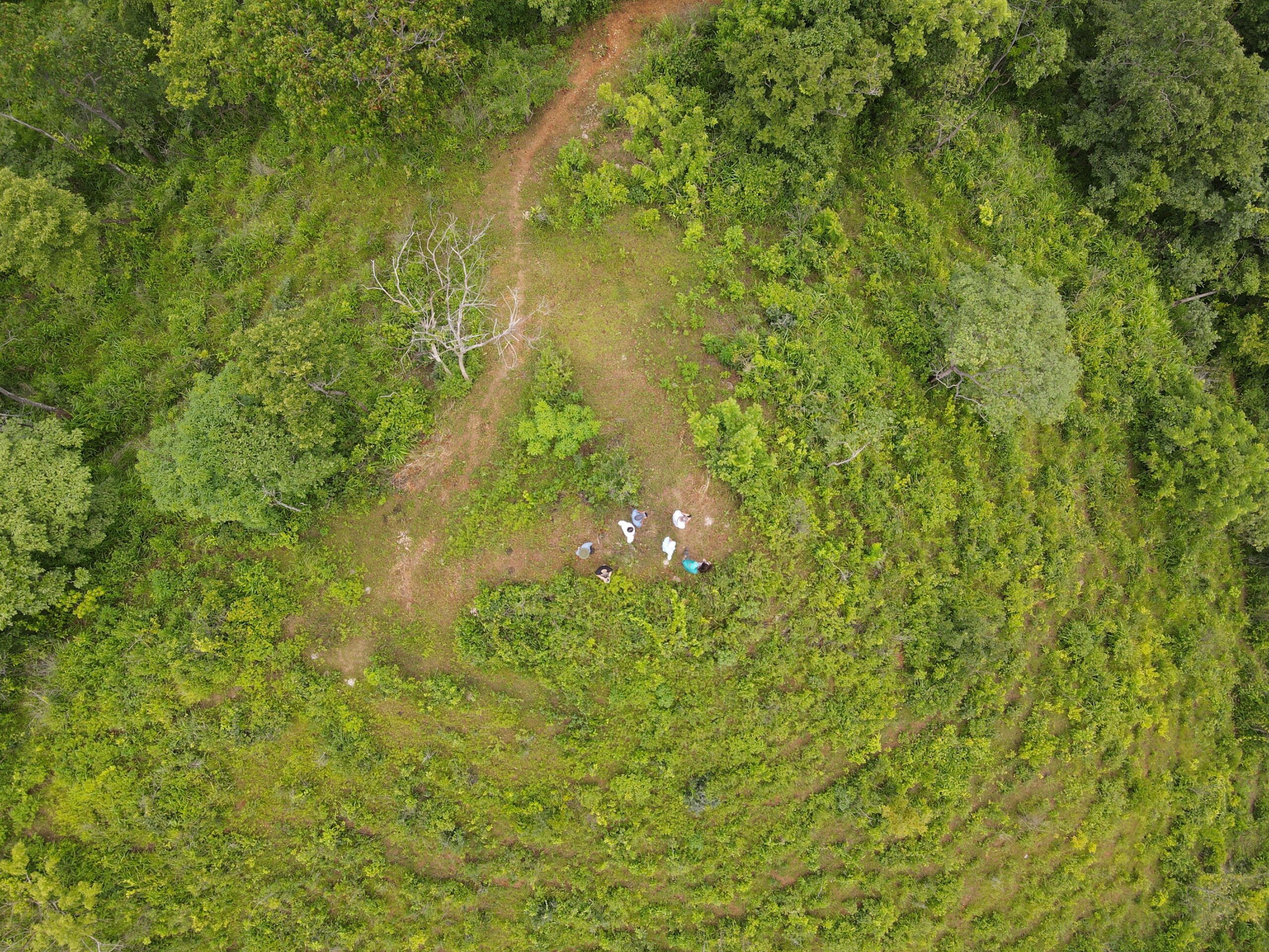 DJI_0372